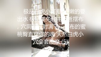 绿帽奴，老婆爱3p