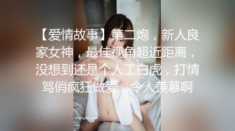 小烧妇自动打桩