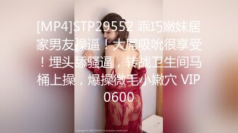 小黑鸭寻欢约条纹装外围妹，扒掉衣服蹲着让妹子口交，边摸奶子后入撞击，张开双腿正入猛操