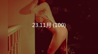 23.11月 (100)