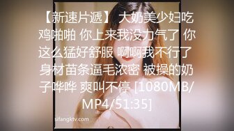 大连巨乳女友高铁自拍诱惑我，骚逼一个，摸奶揉穴！