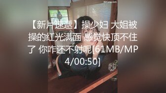 白嫩情人车震淫荡口交被艹，娴熟的口技直操到高潮