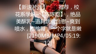 [MP4/337M]4/11最新 特效药迷操美女班主任 无套爆操没忍住内射嫩穴VIP1196