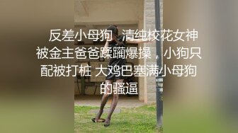 微胖小少妇享受快乐（四）