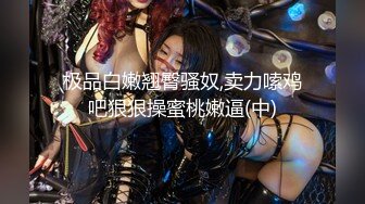 8月新流出私房大神极品收藏商场女厕全景后拍系列黑靴靓妹撅起屁股展示一线逼