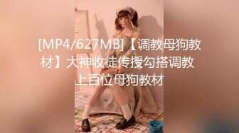 E奶御姐女仆装后入