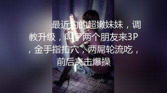 顶级福利！入会粉丝团专属91长腿翘臀淫妻母狗【诗妍】露脸性爱自拍，野外露出车震各种情趣制服啪啪 (31)