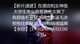 【麻豆传媒】mdhg-0016 在天桥上的享乐者-言欣恬