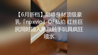 【6月新档】巅峰身材顶级豪乳「npxvip」OF私拍 红丝巨尻同时插入两跟触手玩具疯狂喷水