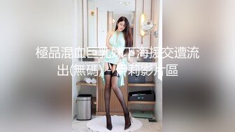 エッチな H0930 ki211026 野島 静香 43歳