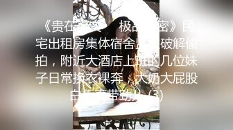 《贵在真实☀️极品泄密》民宅出租房集体宿舍监控破解偸拍，附近大酒店上班的几位妹子日常换衣裸奔，大奶大屁股白皙真带劲儿 (3)