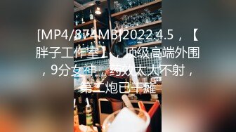 《究极核弹✅泄密》九头身极品巨乳OnlyFans反差女神Npxvip私拍，顶级骚货专用精盆细腰丰乳肥臀，男人泄欲神器 (10)