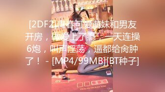 新解密新台【酒店安防摄像头】偷拍最能干的小孕妇一天也能干三次对白清晰