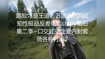 黑丝收藏家的秘密交易 夏禹熙