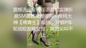 爱豆传媒IDG5422爆乳秘书的职场之路