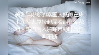 长裙薄丝性感红NN