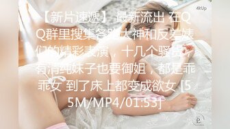 北京女S【航儿】第一视角调教羞辱贱狗倒计时定制视频