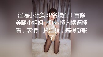 淫荡的骚少妇 高跟丝袜