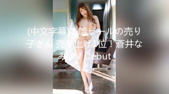 (中文字幕)本職ビールの売り子さん 売り上げ1位！蒼井なみ AV Debut