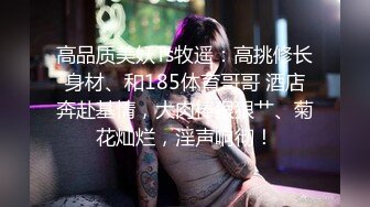 【情感老男孩】新人良家极品御姐，沙发上调情啪啪，这对大白兔满分好评，精彩刺激