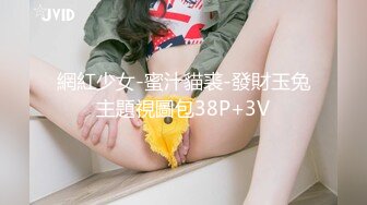 網紅少女-蜜汁貓裘-發財玉兔主題視圖包38P+3V