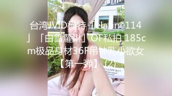 台湾JVID模特「elarine114」「白雪蘿綝」OF私拍 185cm极品身材36F吊钟乳小欲女【第一弹】 (2)