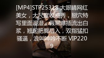 [MP4]STP31098 国产AV 天美传媒 TMW159 清纯女孩POV约会夜晚的淫荡反差 黎儿 VIP0600