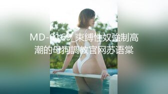 女友二姐是个骚货