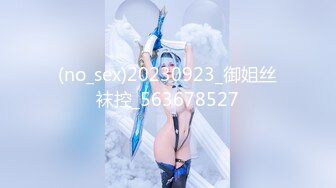 魔劍公主的性感騷姿 3