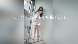 玩具插老婆2