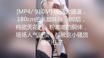 MDX-0161.赵一曼.商务女大使的魅惑.狂乱榨精夜夜笙歌.麻豆传媒映画