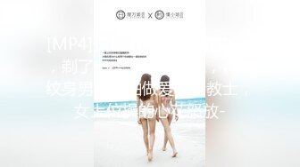 葫芦影业 HLW-013农民工大战高傲母女