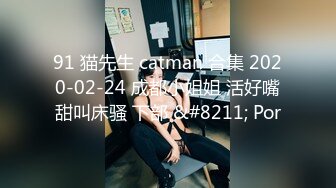 91 猫先生 catman 合集 2020-02-24 成都小姐姐 活好嘴甜叫床骚 下部 &#8211; Por