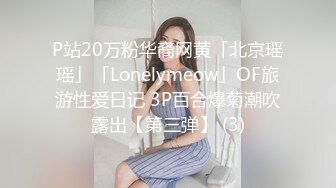 P站20万粉华裔网黄「北京瑶瑶」「Lonelymeow」OF旅游性爱日记 3P百合爆菊潮吹露出【第三弹】 (3)