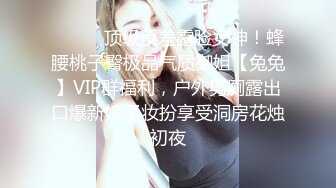 SH-004_我的嫂子是妓女_嫖娼意外從天降麻豆