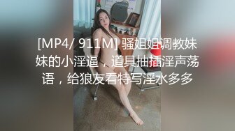 乱女乱妇熟女熟妇综合网网站