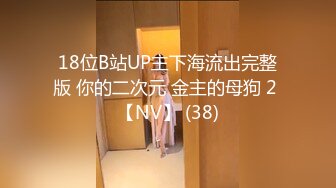 18位B站UP主下海流出完整版 你的二次元 金主的母狗 2 【NV】 (38)