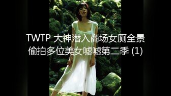 TWTP 大神潜入商场女厕全景偷拍多位美女嘘嘘第二季 (1)