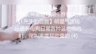 不做女神要做母狗，推特大神【L先生的后宫】明星气质极品圈养母狗日常各种被啪啪内射，淫叫声震耳欲聋的 (4)