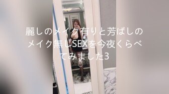 麗しのメイク有りと芳ばしのメイク無しSEXを今夜くらべてみました3