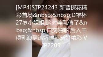 [MP4]STP24243 新晋探花精彩首场&nbsp;&nbsp;D罩杯27岁小姐姐 这对美乳值了&nbsp;&nbsp;口交啪啪 后入干得乳浪翻滚娇喘不断好精彩 VIP2209