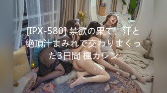 [MP4/ 900M] 开发探索一天3炮深夜再约极品，170CM高个身材超棒，豹纹内裤吸吮大屌，骑乘爆插微毛骚逼