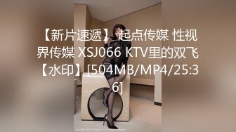 【新片速遞】 起点传媒 性视界传媒 XSJ066 KTV里的双飞【水印】[504MB/MP4/25:36]