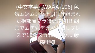 (HD1080P)(AVS collector’s)(avsa00223)りっかとデート ～南房総編～ 久しぶりの一泊旅行でヤリまくりハメまくりのSEX三昧！！ 夏川りっか