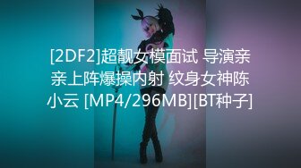 [2DF2]超靓女模面试 导演亲亲上阵爆操内射 纹身女神陈小云 [MP4/296MB][BT种子]